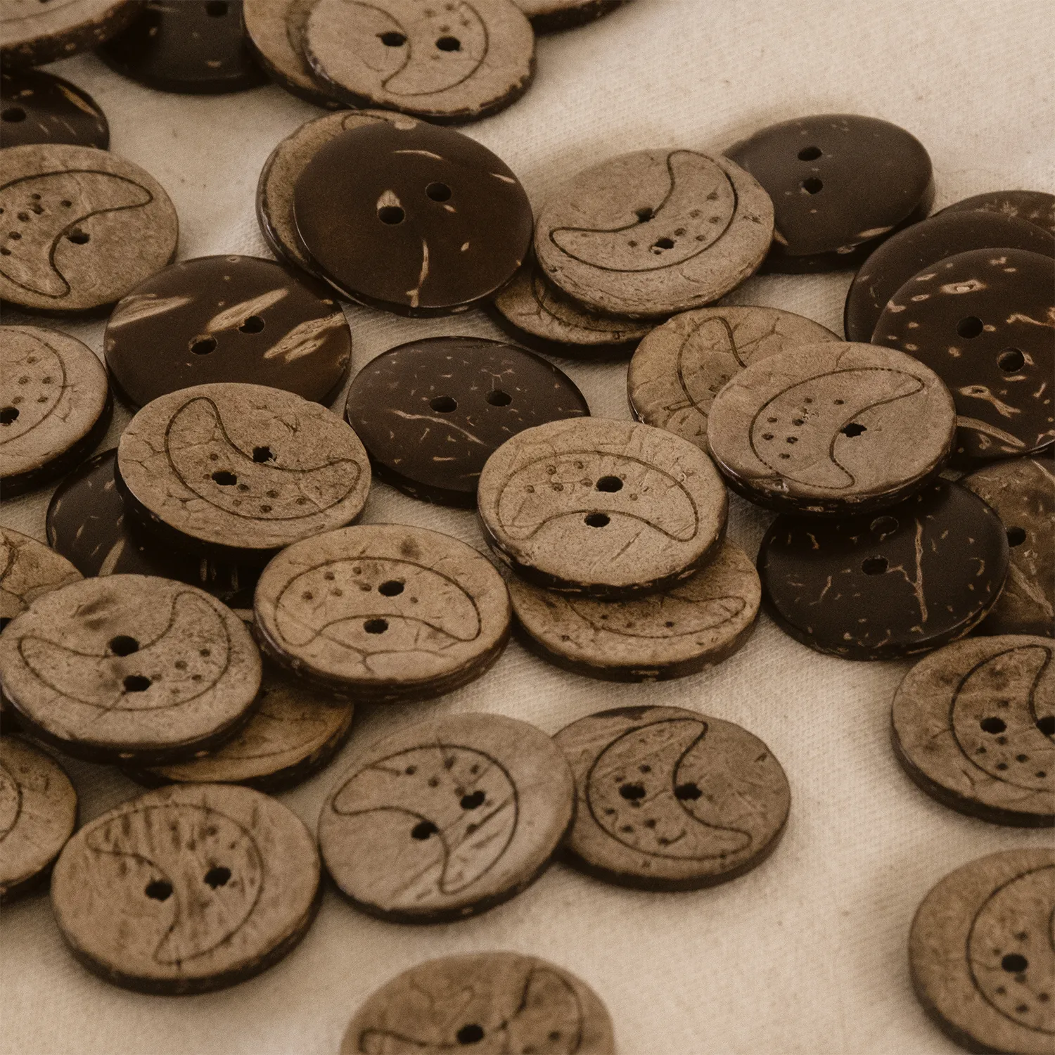 Kokosknopf Black Moon