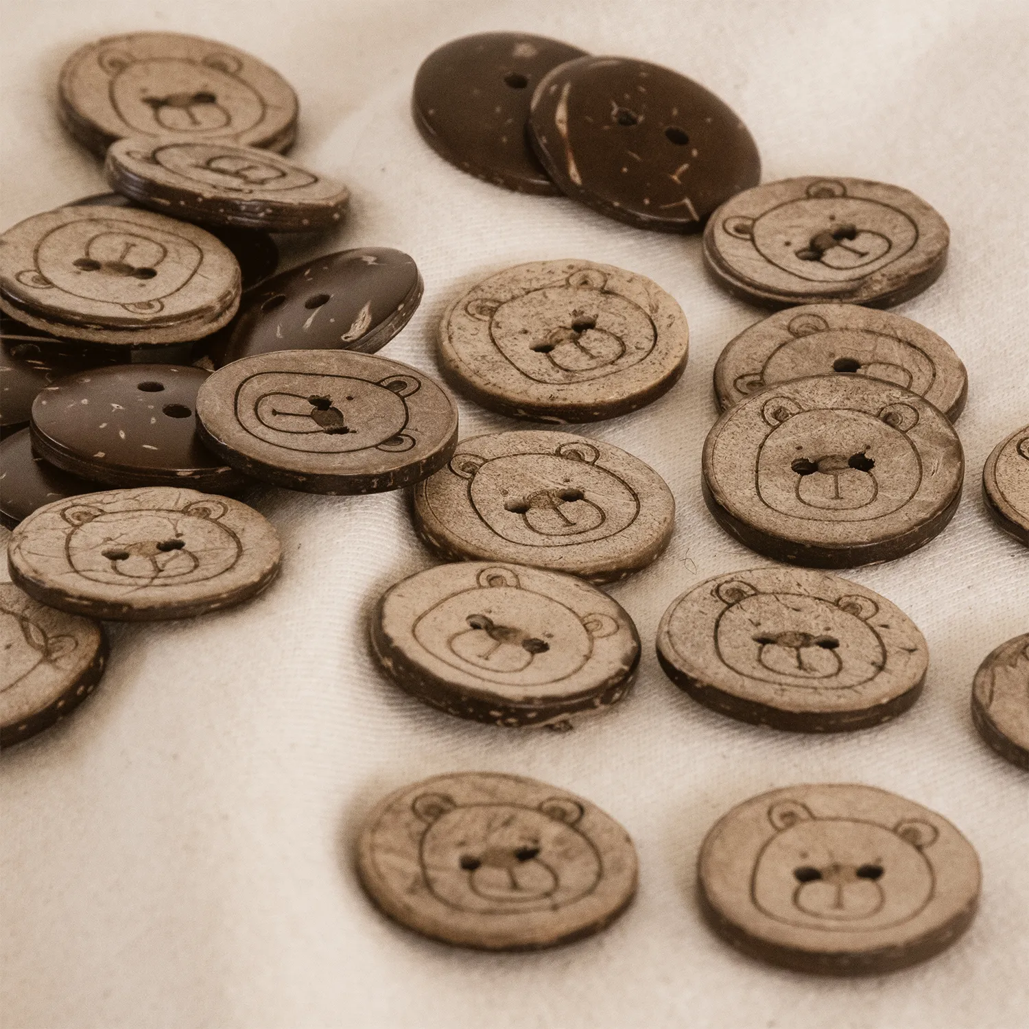 Kokosknopf Grizzly Power