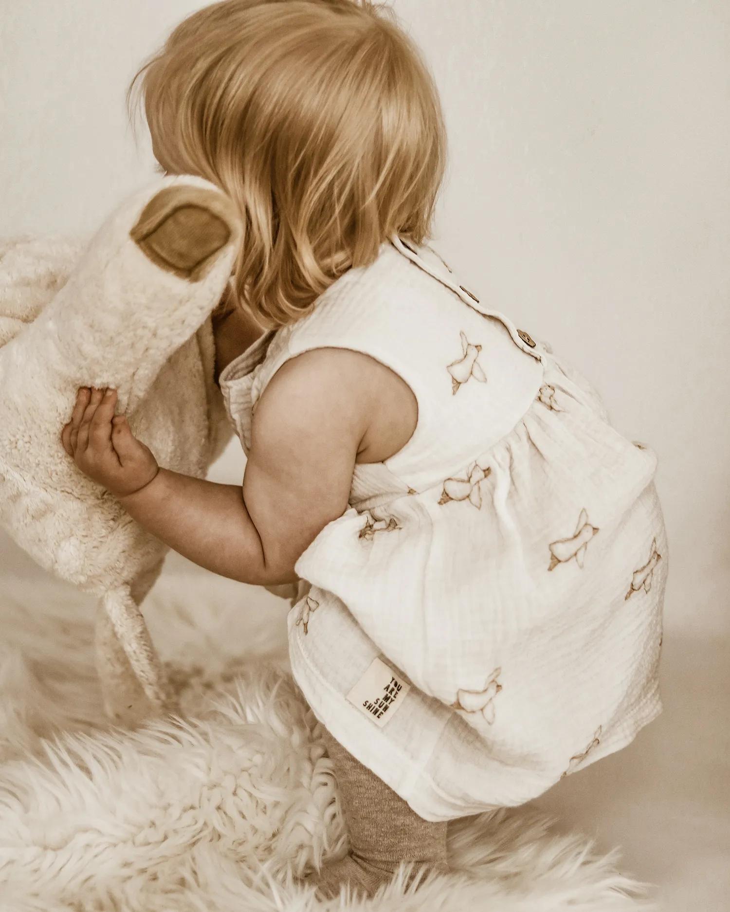 Bri.Lu Stoff Goose Journey (Bio)