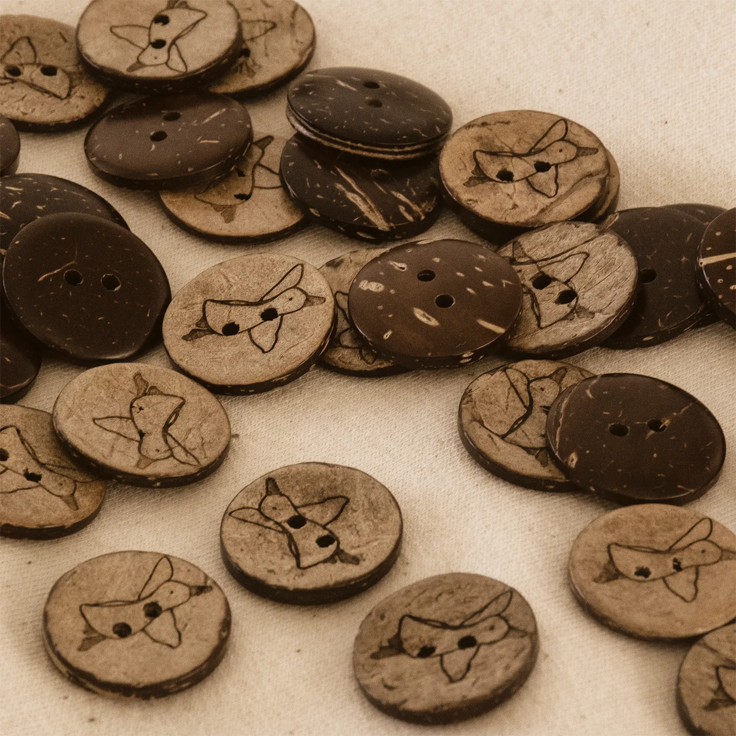 Kokosknopf Goose Journey Brot, Essen